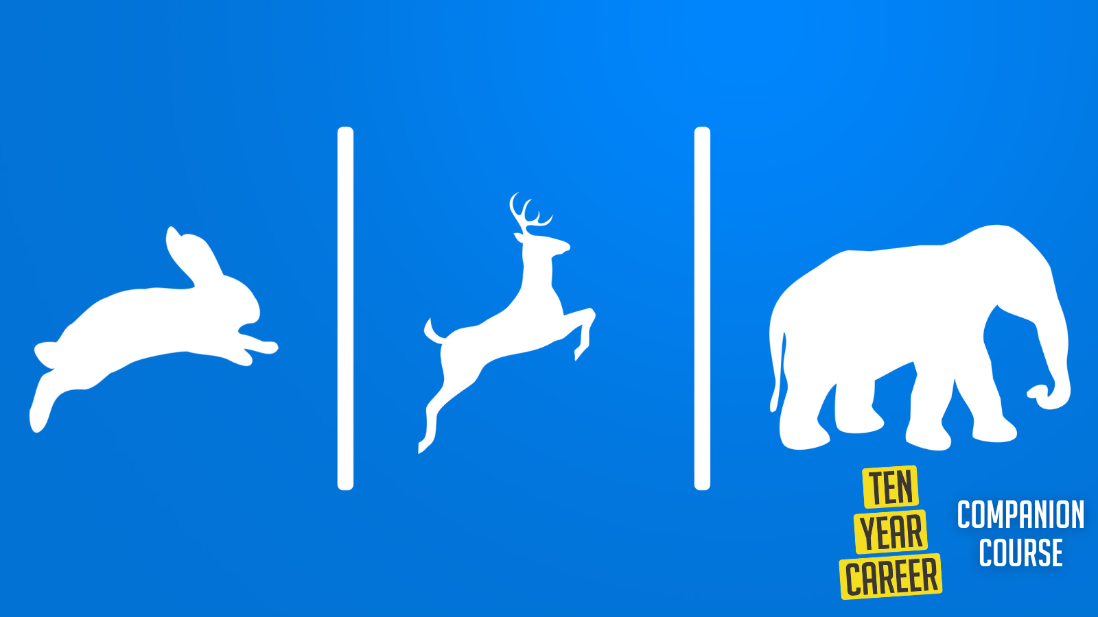 Rabbits, deer, elephant